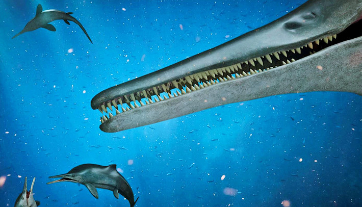 Ichthyosaurs tồn tại đến kỷ Phấn trắng muộn và có thể đã thích nghi tốt để lặn sâu cũng như săn mồi gần bờ, nhưng tất cả các loài đều tuyệt chủng trước khi kết thúc kỷ Phấn trắng.