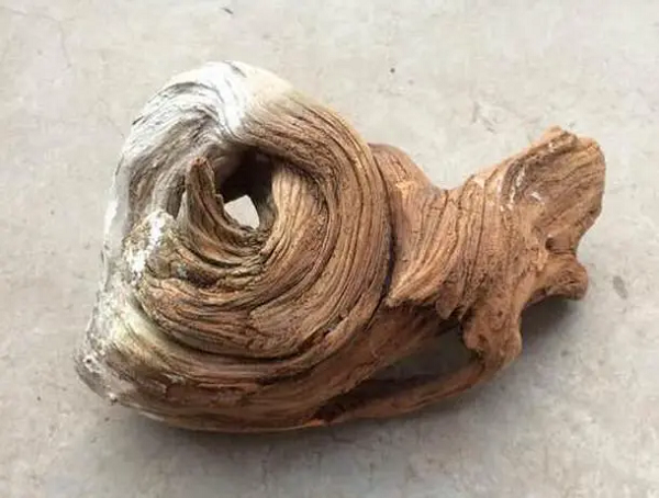 Tới 1 ngày, có 1 người bà con ở thành phố về quê chơi đến thăm nhà. Người này tỏ ý rất thích thú với khúc gỗ mà bác Ngô nhặt được nên đã đề nghị mua lại.