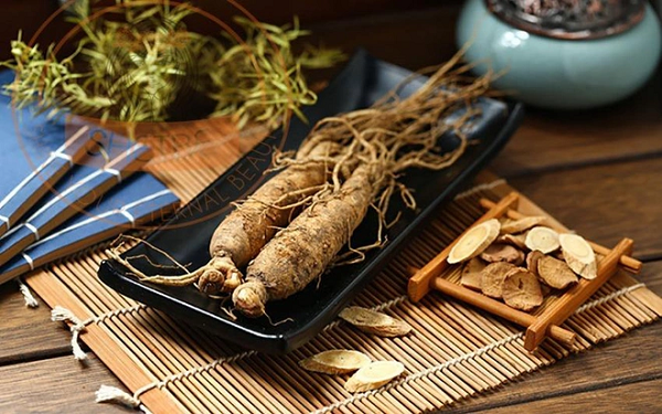 Trong quyển sách này, Álvaro Semedo viết rằng "Nhân sâm được người Trung Quốc coi là thuốc bổ tốt nhất, mọc ở vùng Liêu Đông và Triều Tiên."