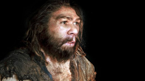 Từ những hộp sọ hóa thạch, chúng ta biết rằng não của người Neanderthal lớn - thực tế là lớn hơn chúng ta một chút - nhưng chúng cho biết rất ít về thần kinh và sự phát triển của não.