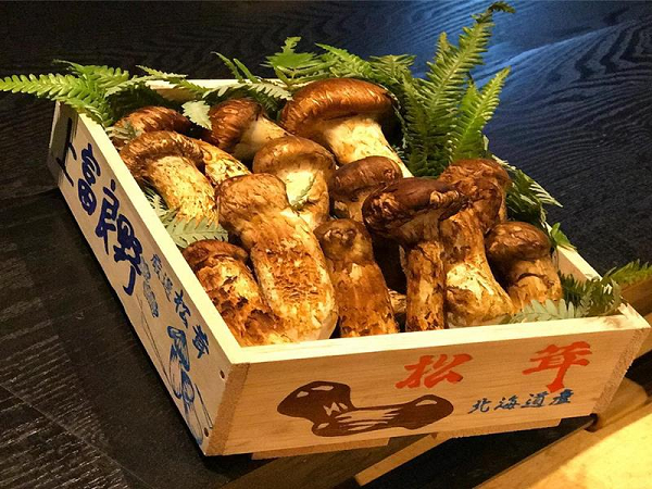 Quý hiếm là vậy, đến khi chế biến để giữ được đúng giá trị của nó còn quý hơn. Mùi thơm của nấm Tùng Nhung tập trung nhiều nhất ở phần vỏ bên ngoài.