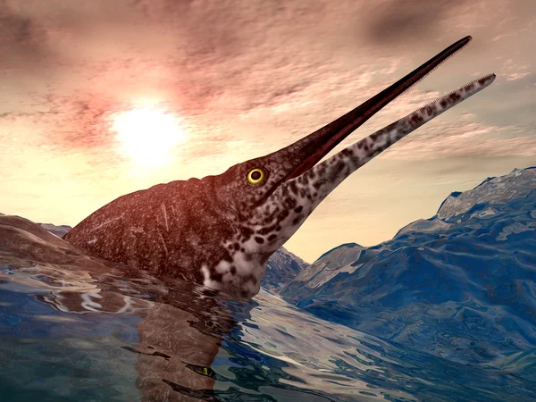 Ichthyosaurs có sự phân bố địa lý rất rộng, và các di tích hóa thạch của chúng trải dài gần như toàn bộ Kỷ nguyên Mesozoi (251 triệu đến 65,5 triệu năm trước), nhưng chúng phong phú và đa dạng nhất trong kỷ Trias và kỷ Jura (251 triệu đến 145,5 triệu năm trước).