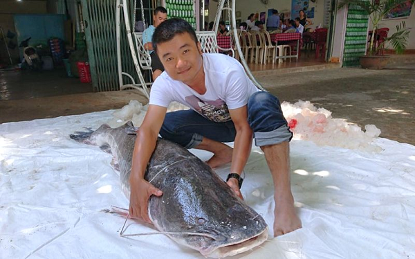Cá lăng đuôi đỏ là loài cá nhiệt đới phân bố ở châu Á, đặc biệt là các nước ở lưu vực sông Mê Kông. Ở Việt Nam, chúng phân bố rộng rãi ở các thủy vực nước ngọt và nước lợ nhẹ miền Nam.