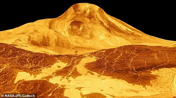NASA đã coi sao Kim như một ứng cử viên sáng giá cho cuộc săn tìm sự sống. Sao Kim có nhiều núi lửa hơn bất kỳ hành tinh nào khác trong Hệ Mặt trời của chúng ta. Nghiên cứu trước đây cho thấy, sao Kim sở hữu hơn 1.600 núi lửa lớn và có thể có hơn 100.000 hoặc thậm chí hơn 1 triệu núi lửa nhỏ.