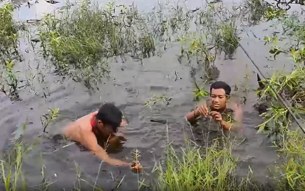 Được biết, con cá "khủng" này là cá lóc bông, có tên khoa học là Ophiocephalus micropeltes, thuộc bộ cá quả. Hình dáng lóc bông cũng giống như cá lóc, thân dài hình trụ, miệng rộng.