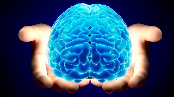 Ngoài ra, não người và thành phần của vũ trụ cũng có sự tương đồng về mặt thành phần cấu tạo. Chẳng hạn, tế bào thần kinh, được sắp xếp dưới dạng sợi dài và nút, chỉ chiếm khoảng 30% khối lượng của bộ não. 70% trọng lượng còn lại là dịch trong não người.