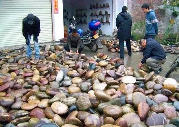 Sau khi lượm về, họ sẽ tiếp tục phân loại, đặt tên và trưng bày. Hầu như nhà nào ở Hà Gia Bá cũng chất đầy đá ở sân, chờ "người sành đá" đến thưởng thức và trao đổi.