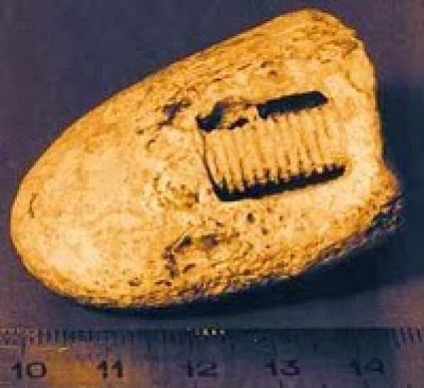 Động vật biển Crinoid hay còn gọi là huệ biển hoặc hoa loa kèn biển, có tên khoa học là Endoxocrinus parrae. Chúng thuộc nhóm động vật da gai, cùng họ với nhím biển và sao biển.