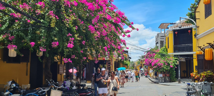 Vào thời gian này, Hội An - nơi từng lọt top 10 thị trấn đẹp nhất thế giới, như khoác lên mình chiếc áo mới với những giàn hoa giấy rực rỡ “hớp hồn” biết bao du khách.