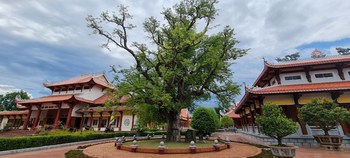 Được khởi dựng trên nền ngôi nhà thuở sinh thời 3 anh em nhà Tây Sơn, Đền thờ Tây Sơn Tam Kiệt có kiến trúc kiểu chữ đinh, mái vảy mũi hài, góc mái cong hình mũi thuyền, trang trí hoa văn cá hóa rồng. Kế bên trái điện là cây me cổ to lớn tỏa bóng mát một góc vườn.