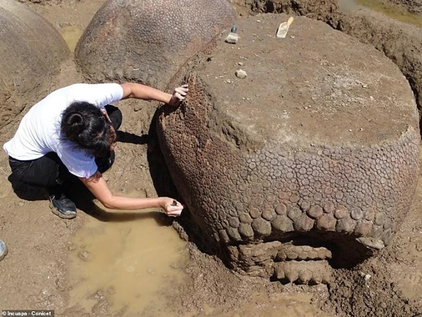 Giới cổ sinh vật học cho rằng quái vật Glyptodon là loài động vật có vú có ngoại hình kỳ lạ và chúng không giống với bất kỳ sinh vật kỳ lạ nào trong thế giới ngày nay. Glyphtodon rất lớn, với chiều dài từ đầu đến đuôi lên tới 3,3 mét, vỏ cao tới 1,5 mét và nặng tới 2 tấn.