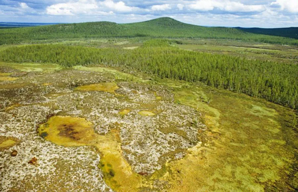 Năm 1908, một quả cầu lửa phát nổ trên sông Tunguska, và các tia lửa ngay lập tức rơi vào rừng, gây ra một đám cháy dữ dội. Ngọn lửa quét sạch 80 triệu cây cối và vô số động vật trên diện tích hơn 1.300km², bầu trời đỏ rực, các thành phố xung quanh cũng bị ảnh hưởng, toàn cảnh kinh hoàng như vụ phun trào của núi lửa La Mã Pompeii.
