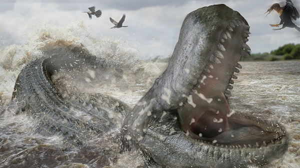 Purussaurus là một chi của cá sấu Caiman, chúng có mặt trên Trái Đất cách đây 8 triệu năm. Chúng sống song hành cùng "chúa tể mặt đất" khủng long bạo chúa T-rex ở Nam Mỹ trong suốt kỷ nguyên Miocene.