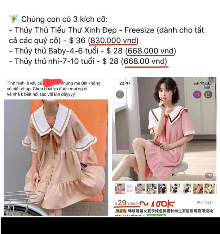Những mẫu đầm mà cô nàng giới thiệu, buôn bán đều là những kiểu dáng phổ biến, xuất hiện nhan nhản trên các trang thương mại điện tử với giá rẻ bèo.