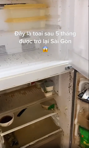 Một số kinh nghiệm bày cách cho chủ nhân clip giải quyết đống bề bộn bên trong tủ lạnh, trả lại nó vẻ đáng yêu vốn có cũng được đưa ra.
