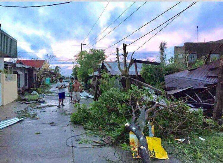 Cây cối đổ rạp hai bên đường ở Bato, Catanduanes. Ảnh FB