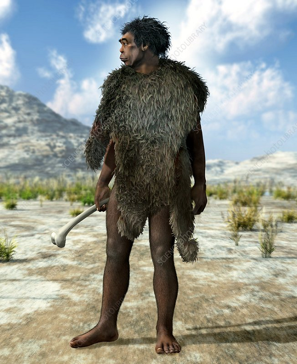 Trong đó hấp dẫn nhất là Homotherium - loài mèo răng kiếm đáng sợ đã lang thang trên Trái Đất từ 4,5 triệu đến 11.700 năm trước.