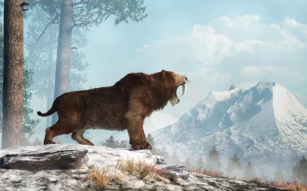 Homotherium phân bố ở nhiều nơi thuộc Bắc Mỹ, lục địa Âu - Á và châu Phi. Tuy nhiên đây là lần đầu tiên hài cốt của nó được phát hiện nằm cùng với các công cụ của con người.