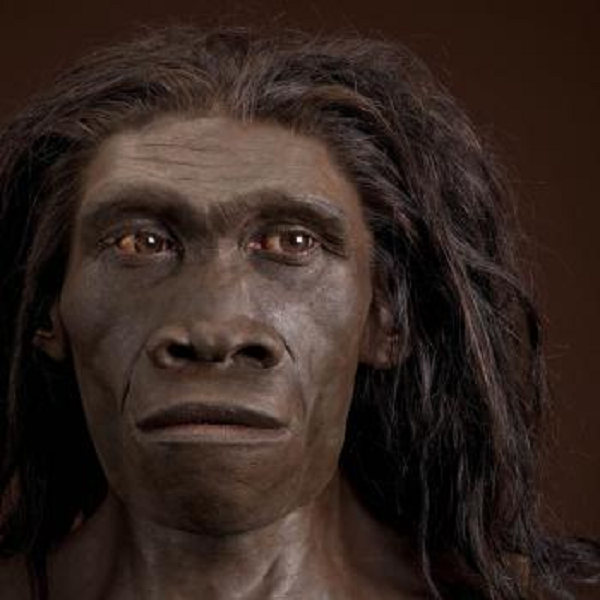 Loài người sinh sống ở Orozmani thời cổ đại chính là Homo erectus, tức "người đứng thẳng", một trong những loài đầu tiên tương đối giống con người hiện đại, nhưng vẫn còn mang nhiều đặc điểm hoang dã.