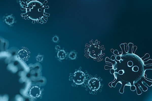 Loại virus corona mới được nhiều nhà khoa học tin rằng đó có thể là một mầm bệnh mới lây lan sang người - một loại virus corona thứ tám.
