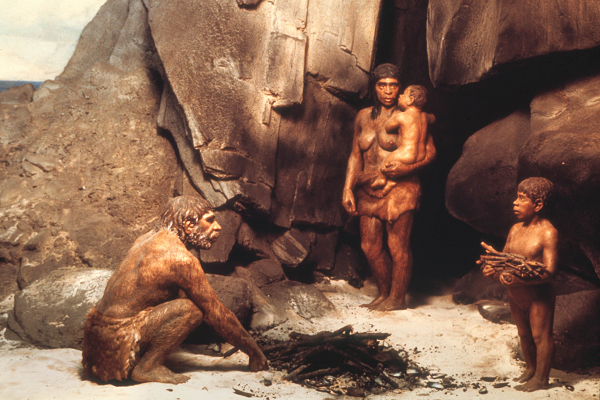 Nhiều nghiên cứu trước đây chỉ ra não người Neanderthals lớn hơn hẳn các loài khác thuộc chi Người, bao gồm người hiện đại Homo sapiens của chúng ta.