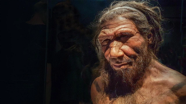 Các bằng chứng khảo cổ cho thấy, người Neanderthal từng làm mưa làm gió khu vực châu Âu và Tây Á, cho đến khi hoàn toàn biến mất vào thời điểm 40.000 năm trước.