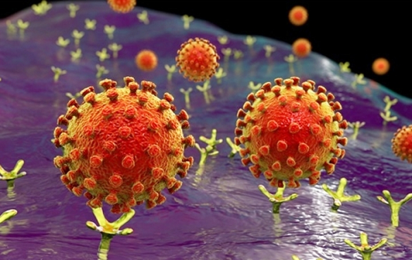 Nhóm nghiên cứu cũng cho rằng, virus SARS-CoV-2 lây trong không khí là yếu tố khiến đại dịch khó chấm dứt. Và nhiệm vụ cấp thiết của chúng ta đó là “làm sạch” không khí.