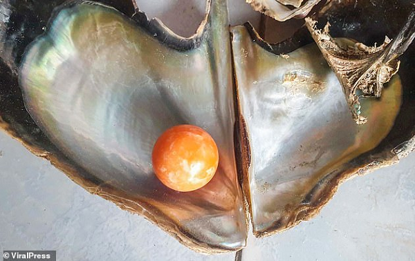 Sau khi thông tin của Kodchakorn xuất hiện trên mạng, đã có một vài người hỏi mua và đưa một mức giá tốt, trong đó có một doanh nhân người Thái đưa ra mức giá lên tới 5 triệu baht (tương đương gần 3,7 tỷ đồng).