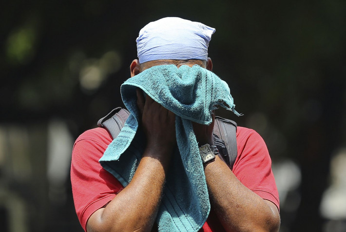 Một đàn khỉ chết nghi ngờ do say nắng trong rừng Joshi Baba ở bang Madhya Pradesh, nơi nhiệt độ đạt khoảng 46 độ C. Cán bộ lâm nghiệp P N Mishra nói, các con khỉ này được cho là đã chiến đấu với một đàn đối thủ để tranh giành tiếp cận nguồn nước. (Ảnh: AP)