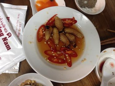 Thực đơn nhà hàng khá phong phú với giá cả hợp lý. Bên cạnh món ăn ngon, chủ nhà hàng cũng chịu khó tìm tòi và có nhiều chương trình khuyến mại, chăm sóc khách hàng như là giảm giá hay miễn phí tắc xi chiều đến để "hút" khách hàng. (Ảnh món đuông dừa ngâm mắm/Nhà hàng Phương Nam)