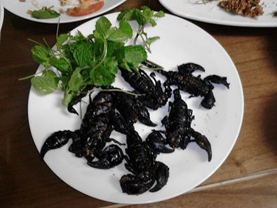 Một nhà hàng mới nổi chuyên về món đặc sản côn trùng này đó là Nhà hàng Phương Nam. Nhà hàng Phương Nam được coi như nhà hàng đặc sản côn trùng mới nổi và duy nhất ở khu vực Mộ Lao, Hà Đông. Nhà hàng phục vụ nhiều món côn trùng cao cấp từ dế, bọ cạp, đuông dừa, rắn mối, ve sầu, trứng kiến… (Ảnh món bò cạp nướng/Nhà hàng Phương Nam)