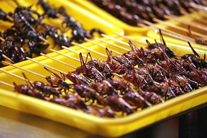 Quán côn trùng vỉa hè đường Đại La (Hà Nội). Đây là một trong những địa chỉ nhậu côn trùng bình dân và được nhiều người biết đến với chủ nhân là một sinh viên nghèo vượt khó. Quán chỉ mở buổi tối, từ 16h đến 17h cho đến 22 - 23h nhưng khách đến ăn lúc nào cũng đông nghịt. Quán chuyên về loại sâu, châu chấu, dế mèn cũng như rết và bọ cạp. (Ảnh minh họa)