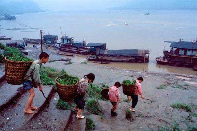 Thuyền bè trên sông Dương Tử ở đoạn gần bến sông thuộc địa phận Trùng Khánh. Ảnh Sina
