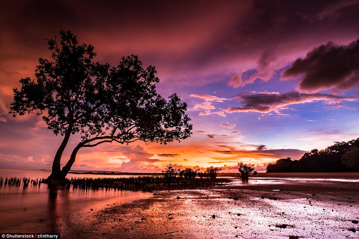 Trong chuyến hành trình khám phá cảnh đẹp như tranh vẽ ở Australia, nhóm du khách đã tới đảo Darwin. Đây là khung cảnh hoàng hôn tuyệt đẹp ở điểm phía đông đảo Darwin. Ảnh Daily Mail