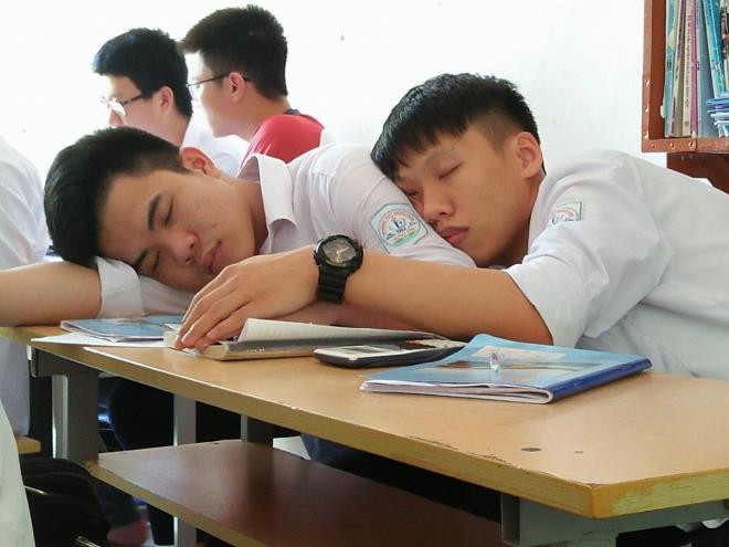 Hình ảnh "không lạ" trong những ngày ôn thi mệt mỏi.