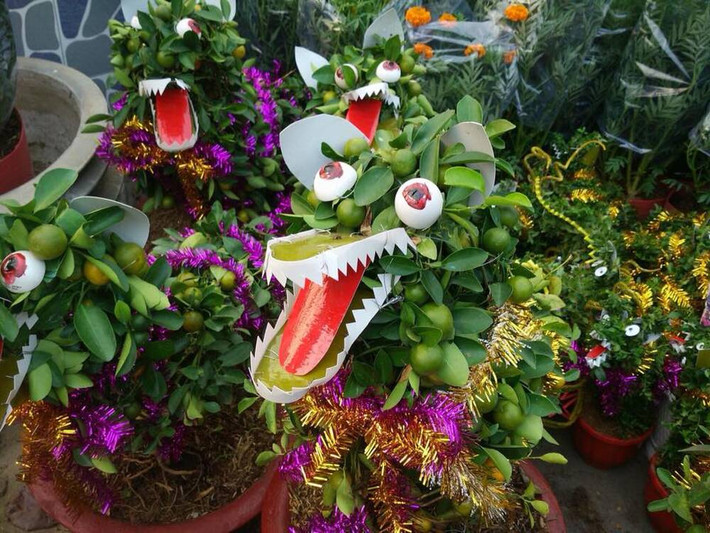 Tạo hình con rồng bằng cây quất nhưng có vẻ biểu cảm của nó hơi dữ dằn. Ảnh: Tổng hợp
