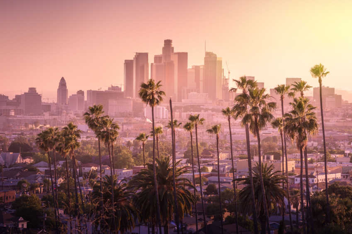 4. Los Angeles có thể chứa toàn bộ dân số thế giới: Với diện tích rộng lớn, Los Angeles có thể chứa toàn bộ hơn 7,5 tỷ người trên Trái Đất nếu mỗi người đứng sát nhau.
