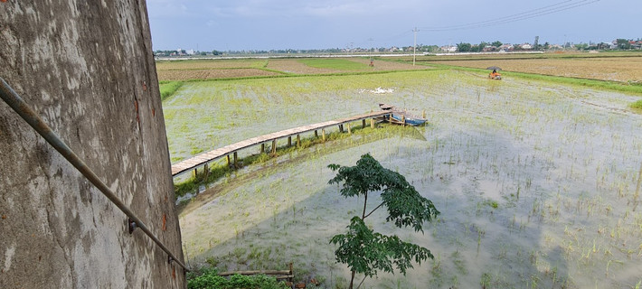 Từ trên cao nhìn xuống, bạn sẽ thấy cả một cánh đồng lúa mênh mông, bát ngát, xa xa là những ngôi nhà thoắt ẩn thoắt hiện bên hàng cây.