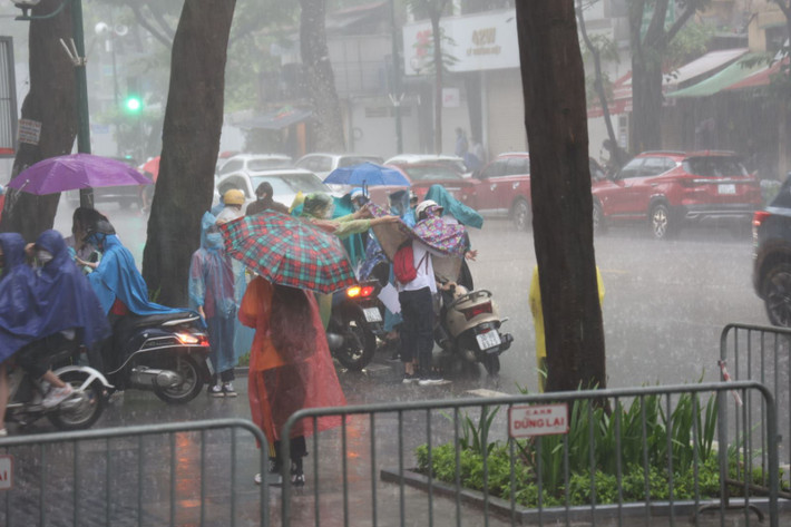 Tình nguyện viên đứng đưới mưa để mang ô kịp thời che cho thí sinh.