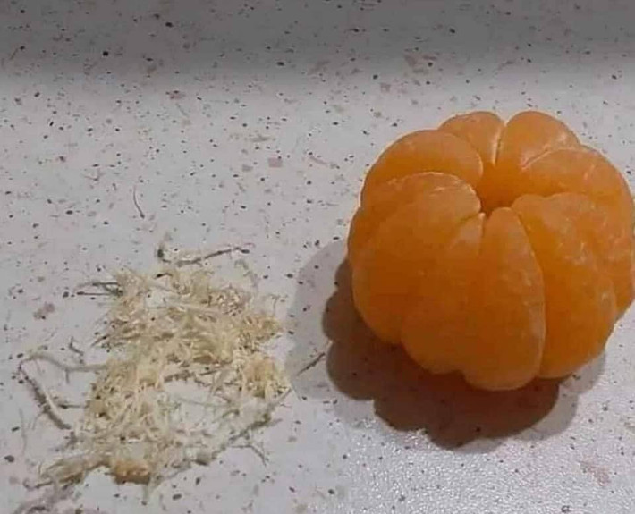 Ngồi bóc từng sợi như thế này cho qua mùa cách ly.