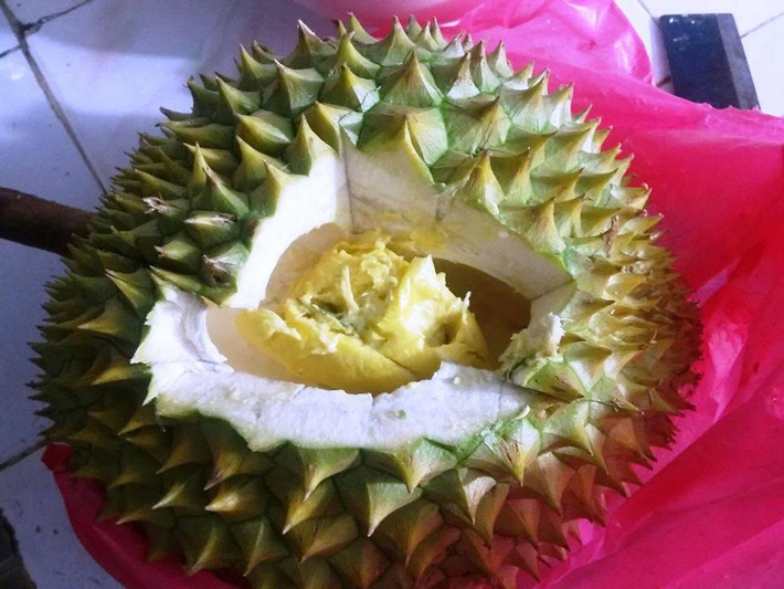 Màn moi sầu riêng chẳng giống ai.