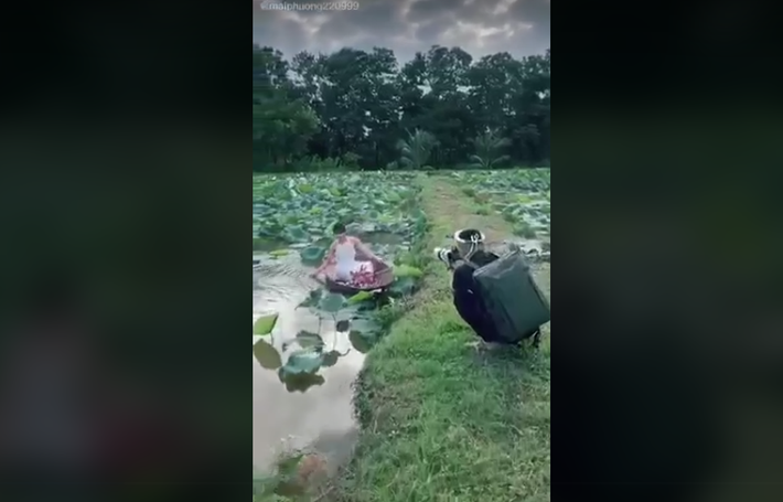 Chụp ảnh sen hiện đang là trào lưu của các chị em mỗi mùa sen nở rộ, đến các địa điểm này dễ dàng thấy được hình ảnh hội chị em xúng xính váy áo duyên dáng và "sống ảo" bên những búp sen hồng.