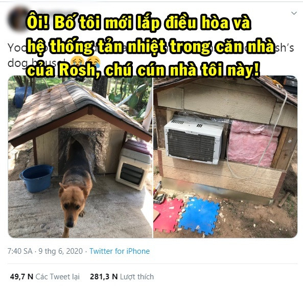 Trước đó, những hình ảnh về chú chó được người chủ lắp hẳn điều hòa, tản nhiệt chống nắng nóng từng khiến mạng xã hội xôn xao. Ảnh: Twitter @350zadrian