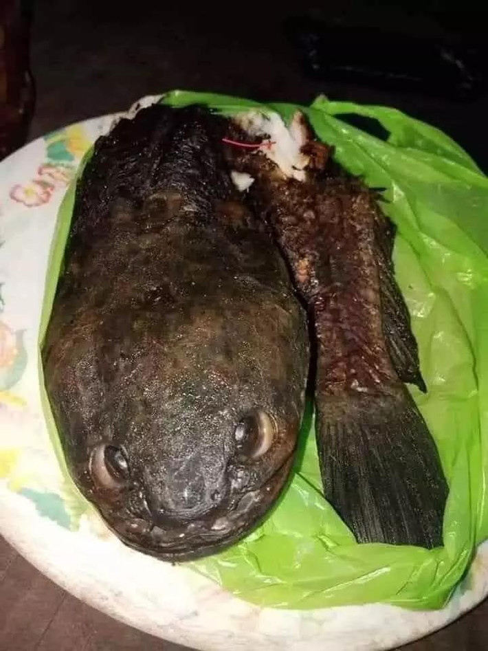 Mắt thao láo kiểu này thì có ai mà dám động đũa.