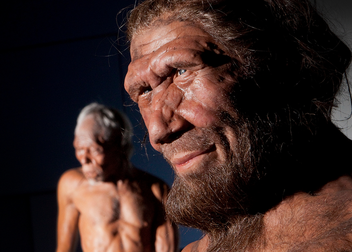 Sự tuyệt chủng của người Neanderthal có thể được giải thích bằng một số yếu tố như thay đổi khí hậu khắc nghiệt và sự giảm thiểu của nguồn lực tồn tại.