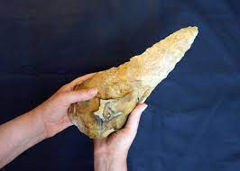 Chiếc rìu lớn nhất trong kho báu có chiều dài 29,5 cm và là một trong những chiếc rìu tay dài nhất từng được khai quật ở Anh.