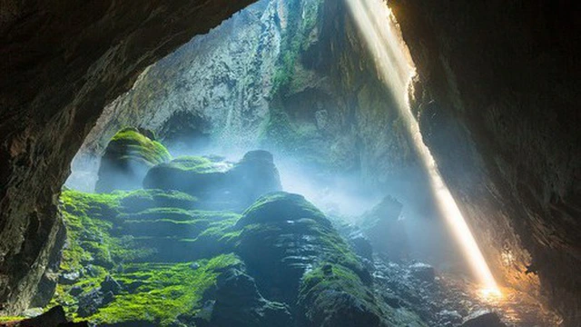 Các chuyên gia đã khám phá ra rằng có nhiều hang động khác trong khu vực có điều kiện sống tương tự và là nơi sinh sản cho loài cá này.