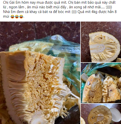 Mới đây trên hội Yêu bếp một tài khoản Facebook có tên P.L.N khoe mua được quả mít 4kg vô cùng đặc biệt.