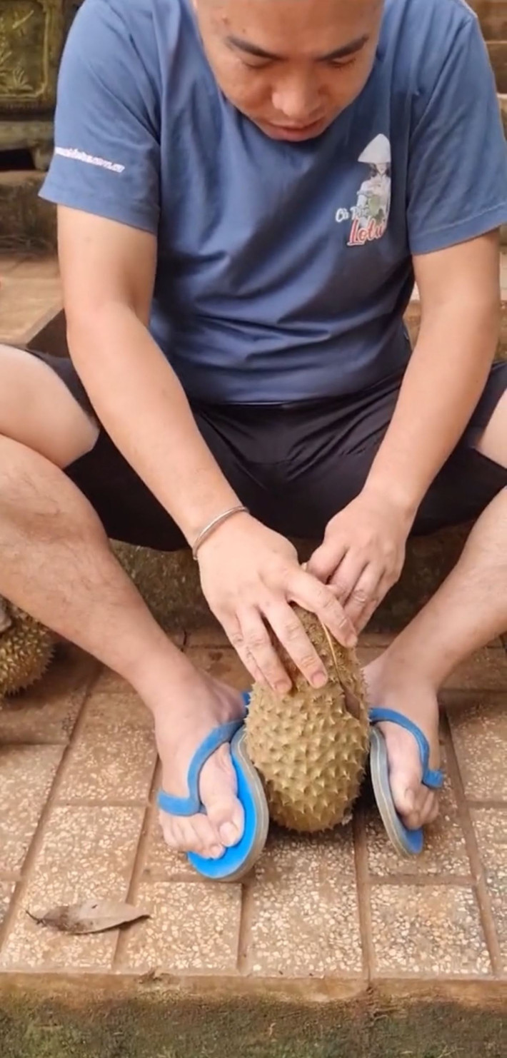 Tuy nhiên, sau khi bổ sầu riêng, chàng trai thực sự thất vọng bởi bên trong nó hoàn toàn không có một múi nào. Có lẽ quả sầu riêng này không hấp thụ đủ dinh dưỡng nên chỉ hình thành xong lớp vỏ thì đã được thu hoạch.