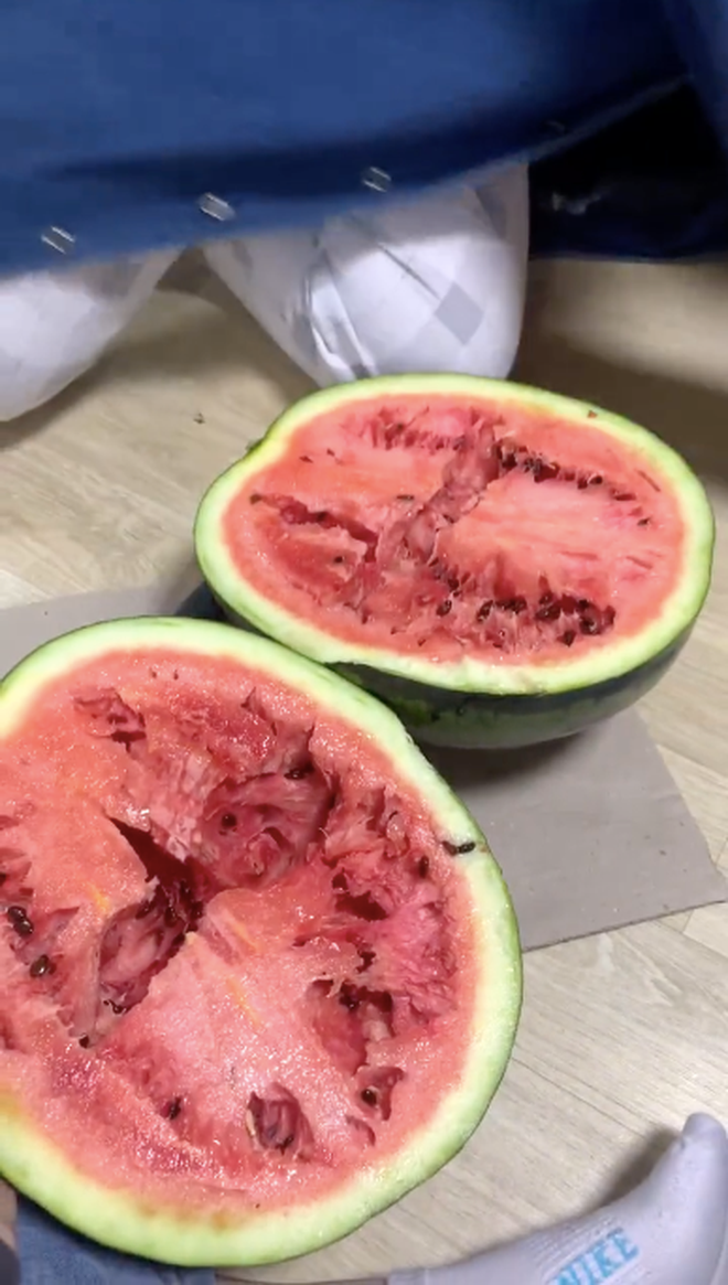 Màn bổ dưa hơn chục ký của hai cô gái Việt trước đó cũng gây xôn xao không kém. Dù phần vỏ trông khá đẹp mắt thế nhưng khi bổ ra lại cho ra kết quả đáng tiếc, phần ruột dưa chín đỏ, bị rỗng khá nhiều chỗ.